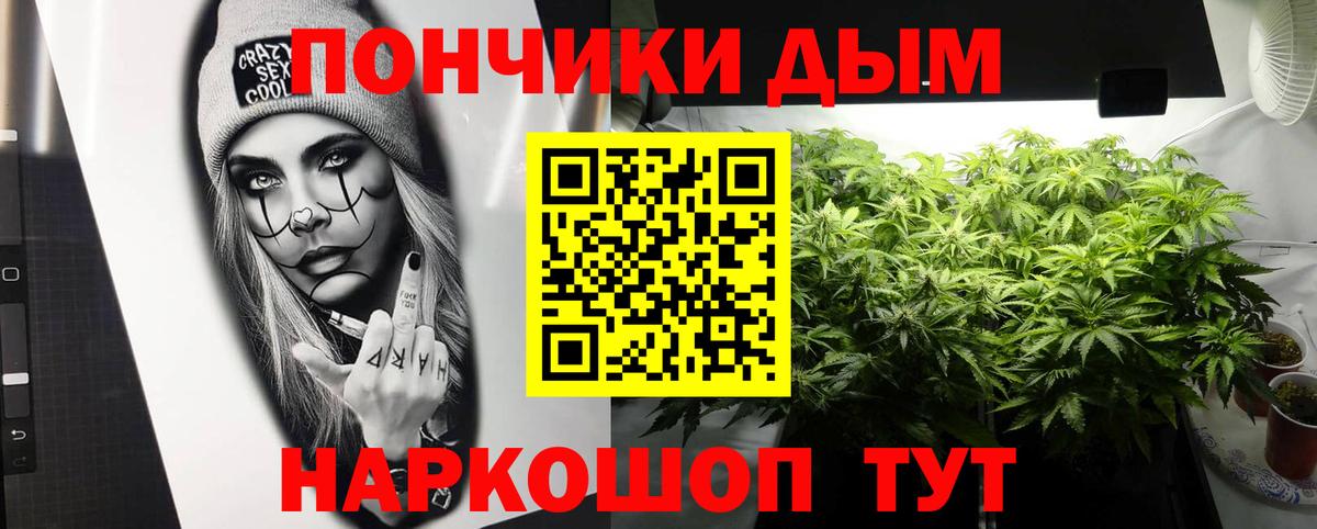 Шишки марихуана AK-47  Вход с VPN  Марихуана Ganja  Шишки марихуана план  Усть-Джегута  Каннабис индика 